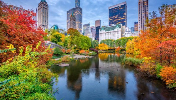 La cuarentena por coronavirus en Nueva York transforma Central Park