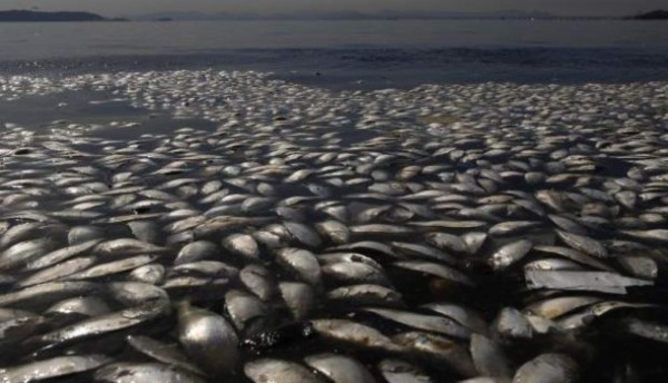 Las catástrofes del futuro en la tierra y Eric Cantona también se suma a las predicciones