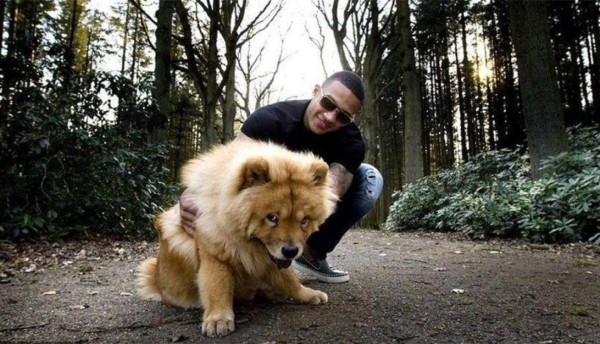 Día Mundial de los Animales: Ellos son el 'mejor amigo' de los grandes futbolistas