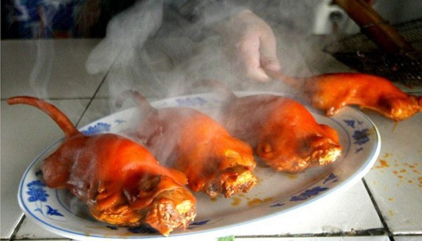 Las enormes ratas que China tenía preparadas como plato gourmet antes del coronavirus