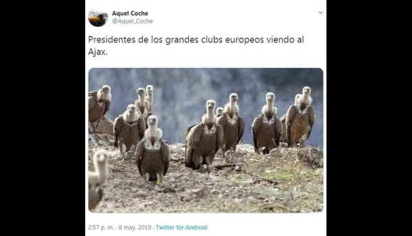 Los memes no perdonan al Ajax tras perder contra el Tottenham en último minuto en Champions