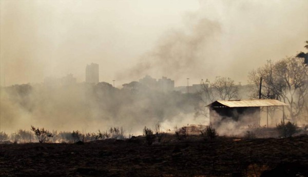 Las imágenes del terrible incendio que devora el Amazonas, el pulmón del mundo