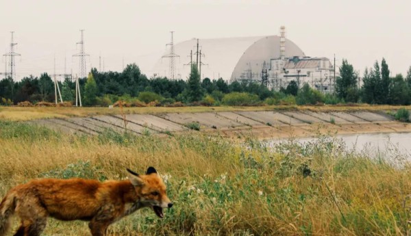 Así luce Chernobyl en la actualidad tras el desastre nuclear en 1986&nbsp;&nbsp;