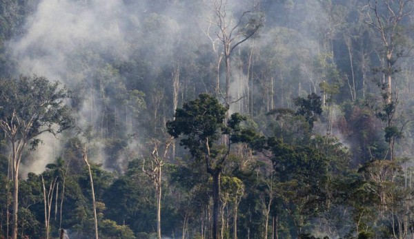 Las imágenes del terrible incendio que devora el Amazonas, el pulmón del mundo