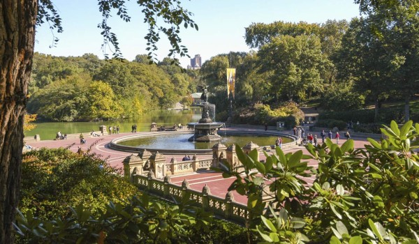 La cuarentena por coronavirus en Nueva York transforma Central Park