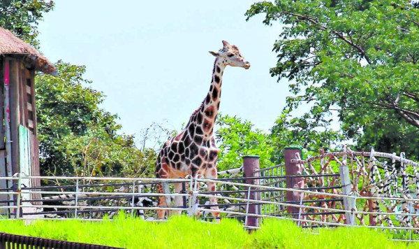 25 hermosos lugares turísticos que puede visitar en el Feriado Morazánico en Honduras