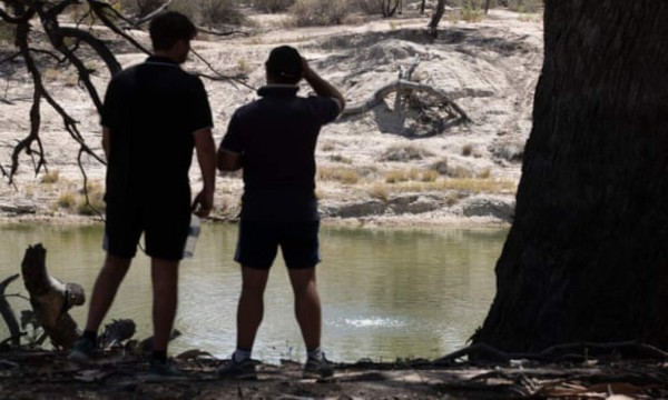 Grave sequía en Australia: 'Centenas de miles' de peces aparecen muertos