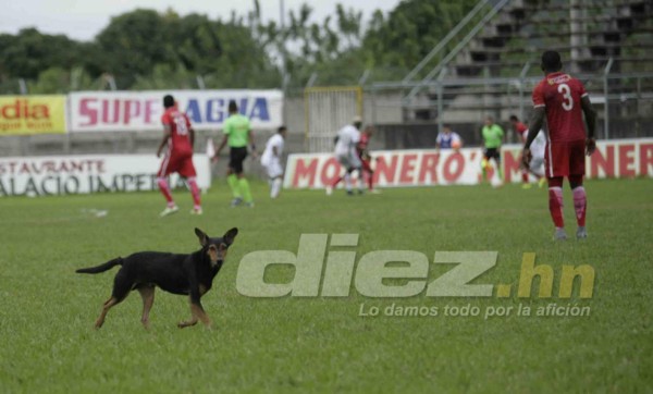 Las extrañas cosas que se han visto en juegos de Liga Nacional de Honduras