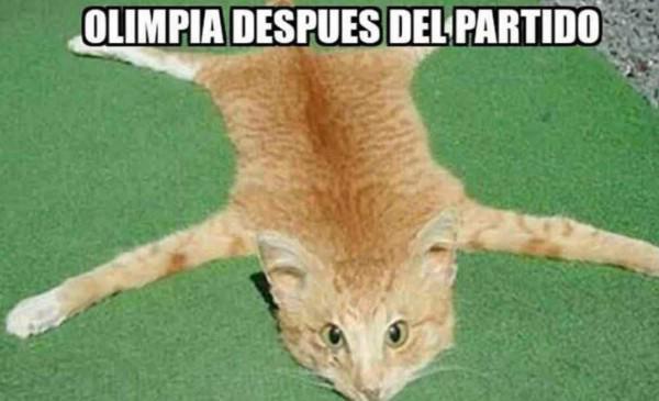 ¡No perdonan! Los memes destrozan a Olimpia y a Pedro Troglio tras el título de Motagua en la Liga Nacional de Honduras