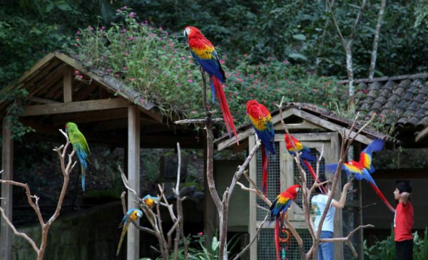 25 hermosos lugares turísticos que puede visitar en el Feriado Morazánico en Honduras