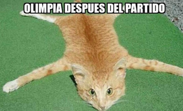 ¡Imperdibles burlas! Los memes destrozan a Marathón tras la paliza recibida y a Olimpia por empatar