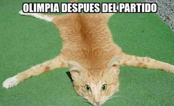 Los mejores memes que deja la jornada 3 en Honduras