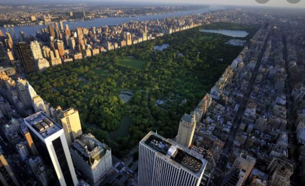 La cuarentena por coronavirus en Nueva York transforma Central Park
