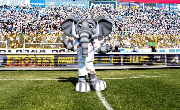 ¿Cuál te gusta más? Estas son las mascotas de los clubes de Centroamérica