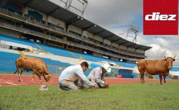 Con memes ya se calienta el Honduras-México en redes sociales