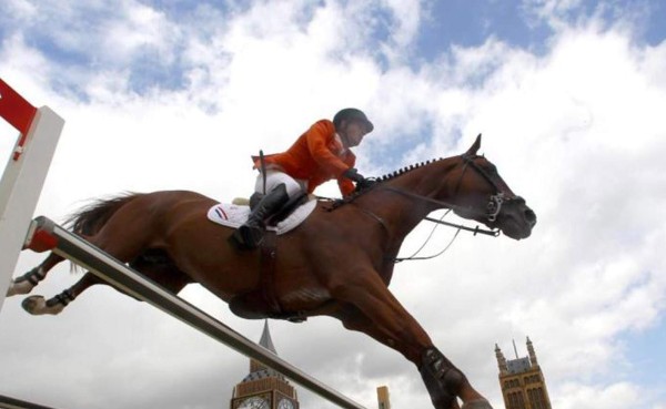 El caballo más caro del mundo competirá en Madrid
