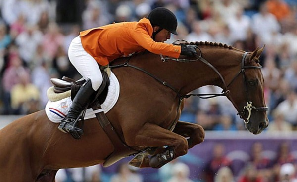 El caballo más caro del mundo competirá en Madrid