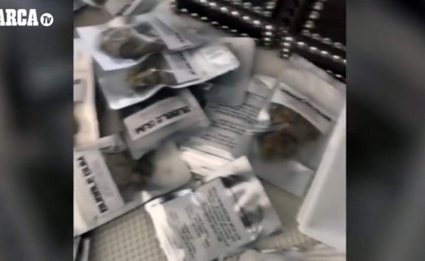 Las fiestas de Samir Nasri son con mucho alcohol y drogas