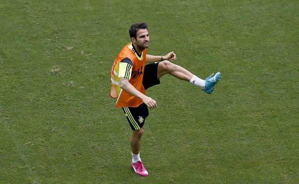 Vicente Del Bosque recriminó actitud a Cesc Fábregas