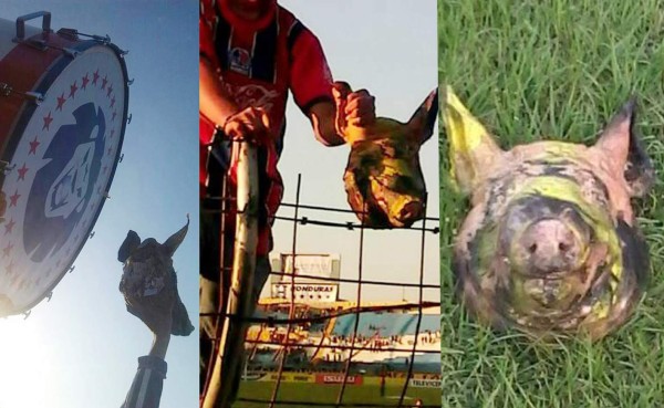 Comisión de Disciplina multa a Olimpia porque barra lanzó una cabeza de cerdo