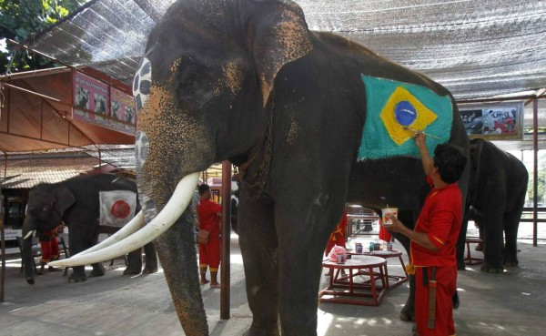 Elefantes mundialistas juegan fútbol en Tailandia