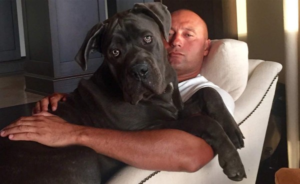 El enorme perro de Derek Jeter que amenaza a sus nuevos vecinos