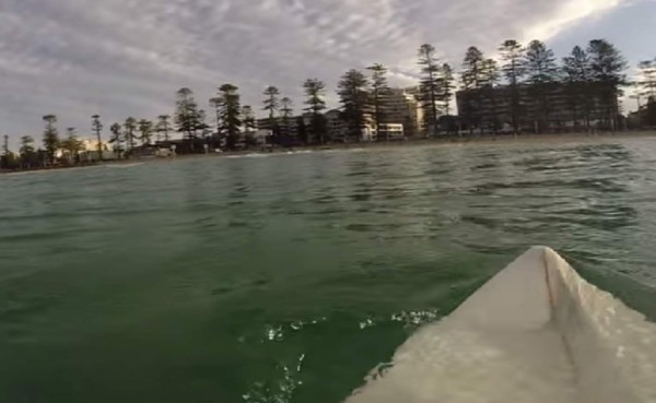 VIDEO: Surfista graba con su GoPro encuentro con un tiburón