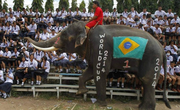 Elefantes mundialistas juegan fútbol en Tailandia