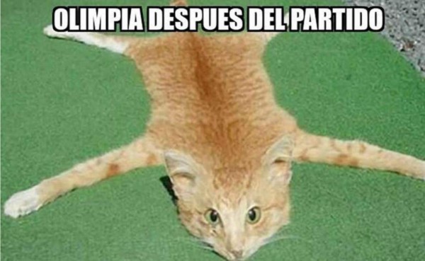 Olimpia cae ante Real España y lo acribillan de divertidos memes