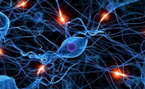 Demostrada la eficacia de un fármaco contra un cáncer cerebral infantil