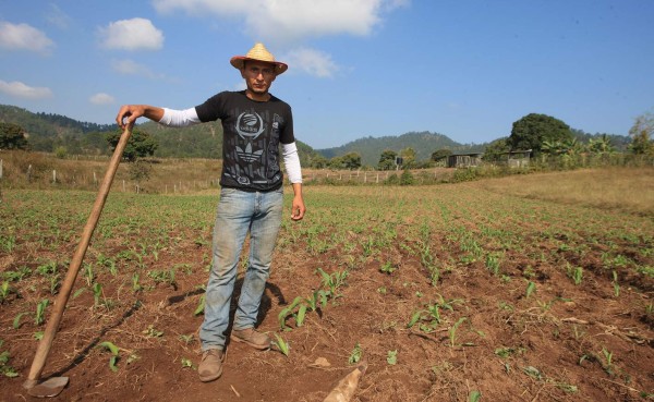 Un campesino es el capitán del Juventus de Honduras