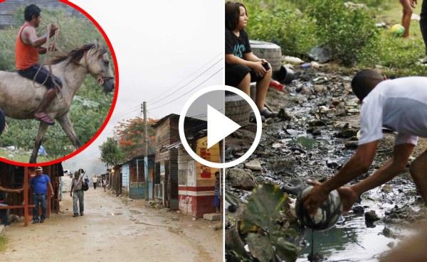 Así se juega una potra en un bordo de Honduras