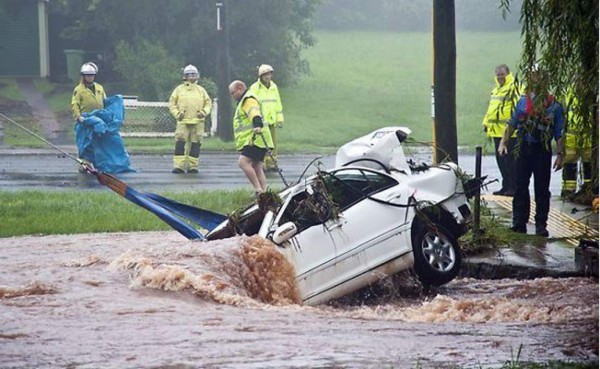 Cocodrilos en las calles: Las imágenes de las devastadoras inundaciones en Australia