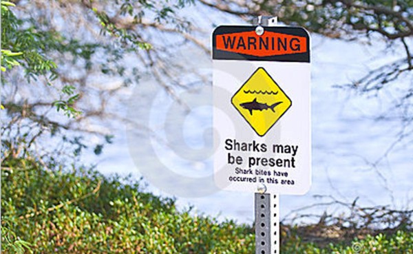 Japonés muere por ataque de tiburón y otro surfista fue atacado