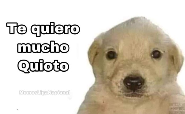 ¡Balón de Oro para Quioto Depay! Los memes que dejó el Honduras-Panamá que analtecen a Romell