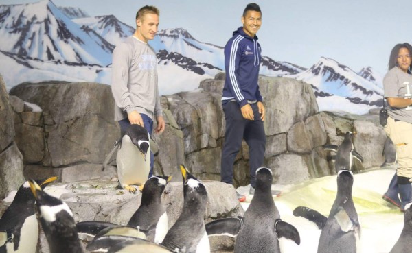 Domingo de pingüinos y zoológico para Roger Espinoza en Kansas