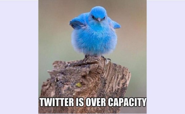 Los mejores memes de la caída Twitter a nivel mundial
