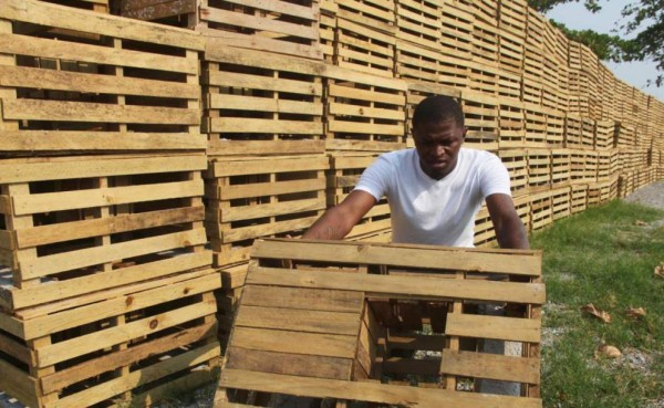 Policías, albañiles, barberos, pintores y pescadores... ¡La otra profesión de los futbolistas hondureños!