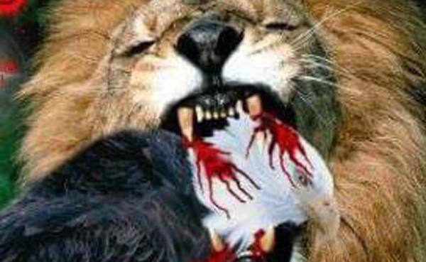 La paliza de Olimpia a Motagua arrasa con los imperdibles memes