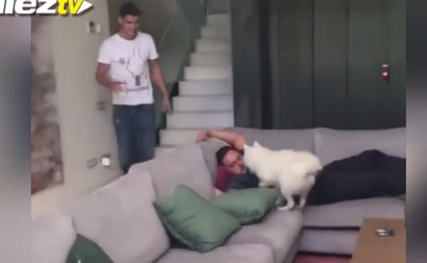VIDEO: Un perro le arruina broma a Álvaro Morata, jugador del Real Madrid