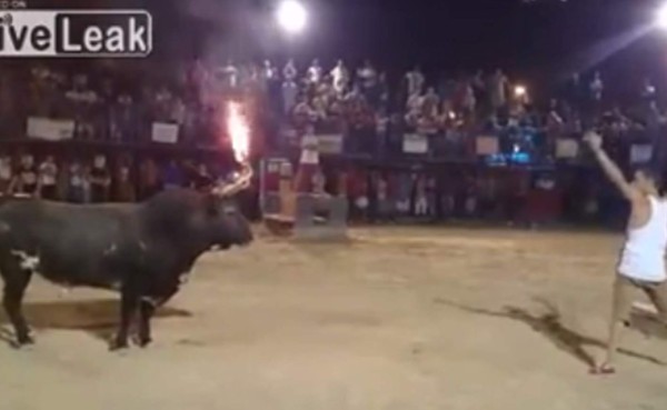 VIDEO: La venganza de un toro embolado en España