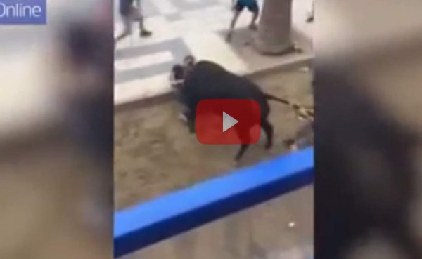 VIDEO: Hombre muere tras ser atacado por toro durante corrida