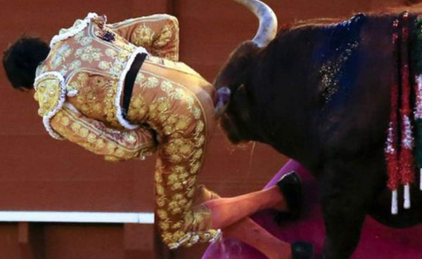 VIDEO: Peruano se salva de morir tras embestida de toro