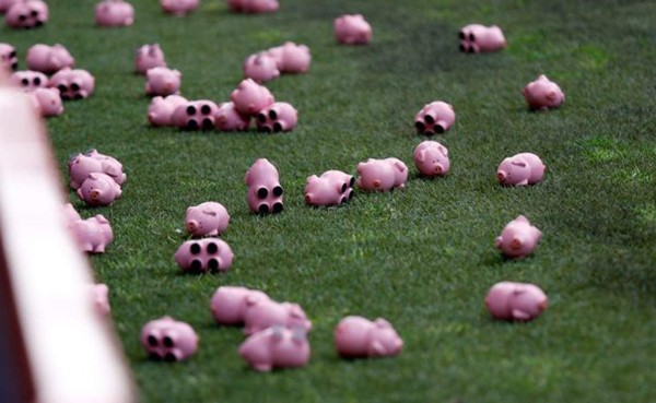 Curiosa protesta: Aficionados se unen y paralizan un partido para lanzar tres mil cerdos de juguete