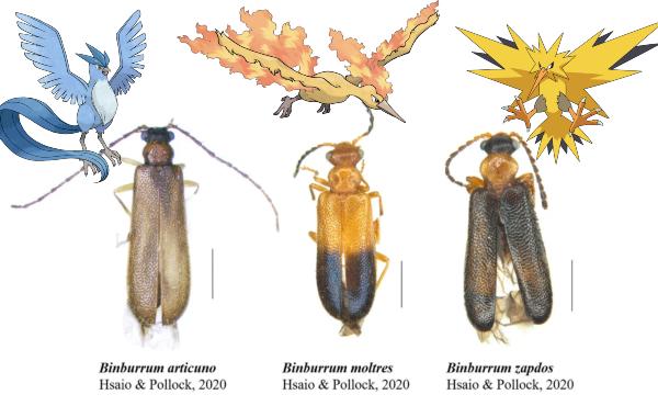 ¿Conocías estos animales reales nombrados en honor a especies de Pokémon?