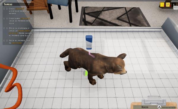 Un proceso extenso para duchar a los animales. Aplicar champú, restregar con la esponja y retirar la espuma con la manguera.