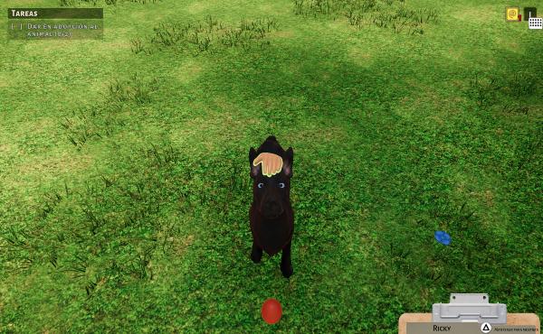 Podemos acariciar y jugar con las animales de nuestro refugio.