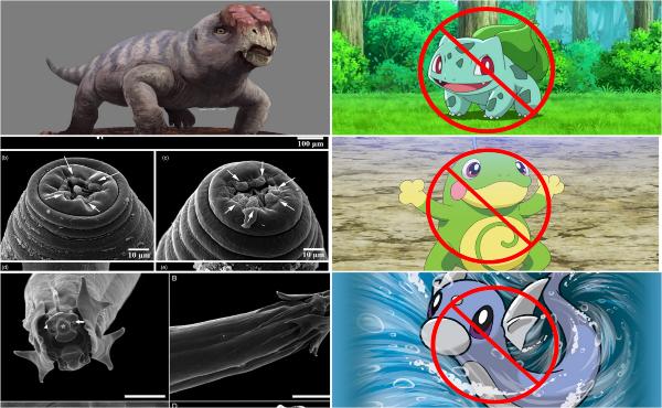 ¿Conocías estos animales reales nombrados en honor a especies de Pokémon?