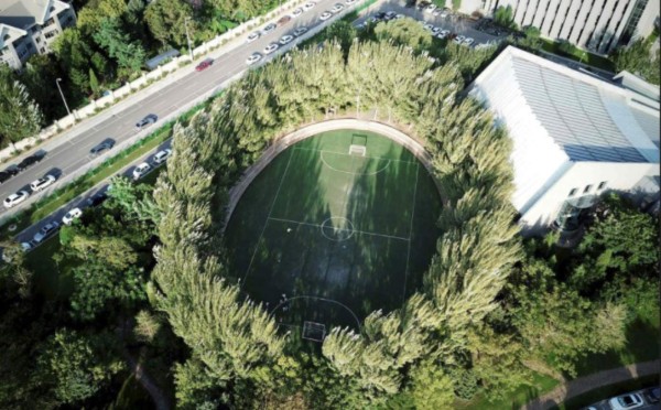 Desde Centroamérica hasta China: Los estadios de fútbol más extraños del mundo