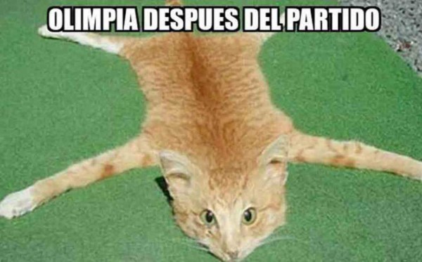 Real España y Olimpia caen y son atacados con divertidos memes